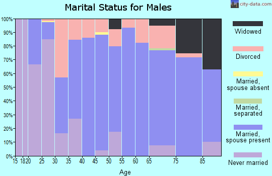 Zip code 51351 marital status for males