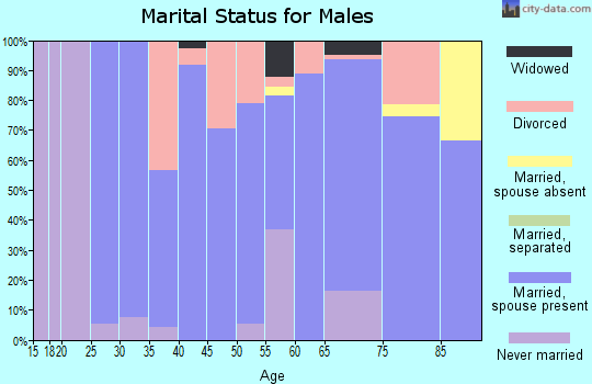 Zip code 51354 marital status for males