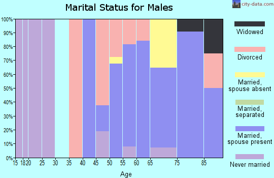 Zip code 51355 marital status for males
