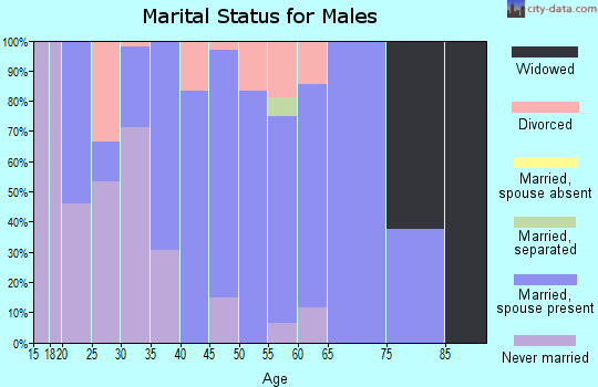 Zip code 51357 marital status for males