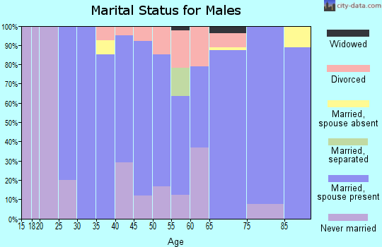 Zip code 51358 marital status for males