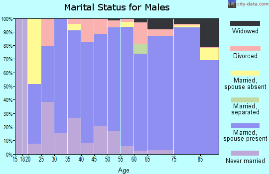 Zip code 51360 marital status for males