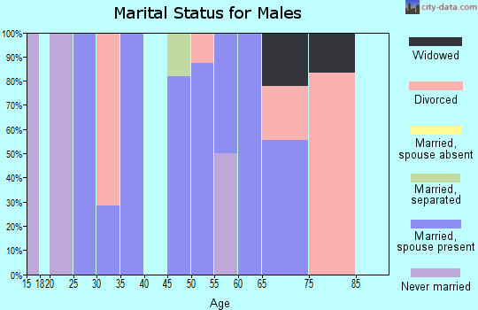 Zip code 51363 marital status for males