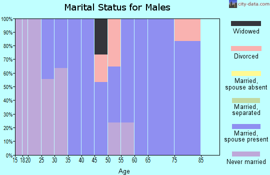 Zip code 51365 marital status for males