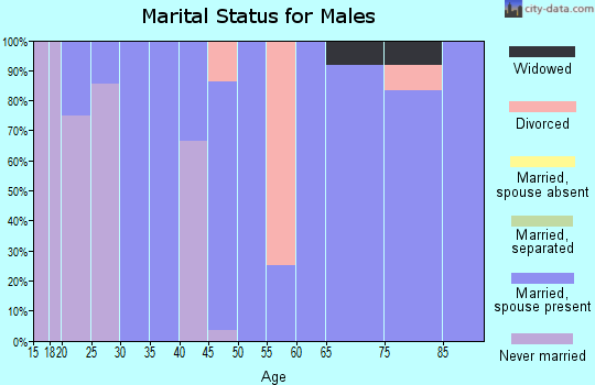 Zip code 51366 marital status for males