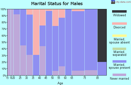 Zip code 51430 marital status for males