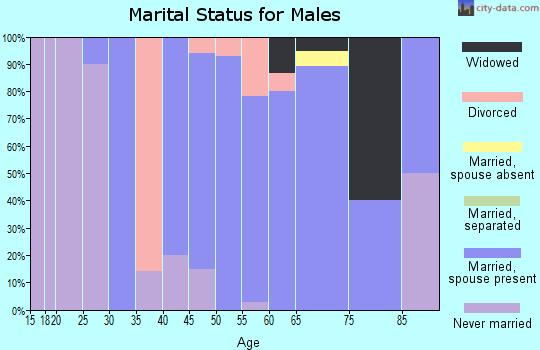 Zip code 51433 marital status for males