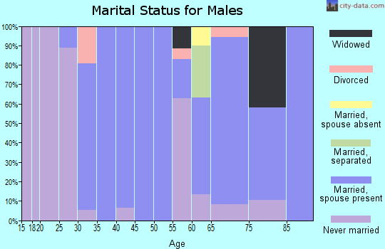 Zip code 51436 marital status for males