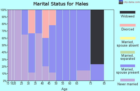 Zip code 51440 marital status for males