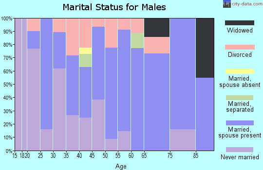 Zip code 51510 marital status for males