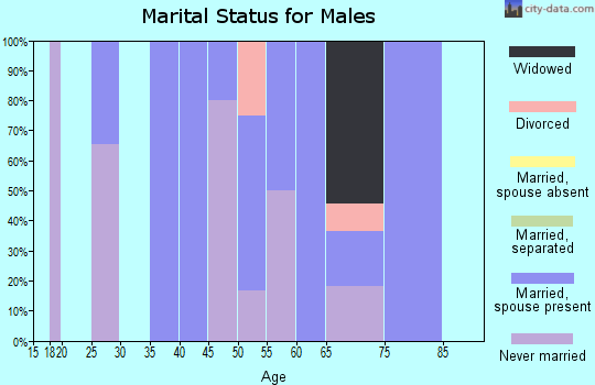 Zip code 51520 marital status for males