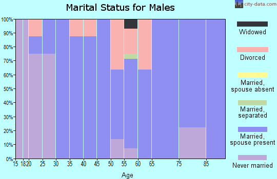Zip code 51527 marital status for males