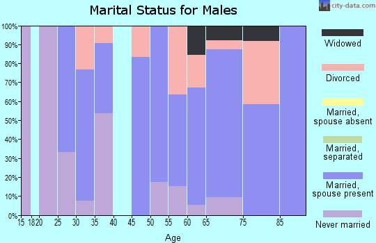 Zip code 51528 marital status for males