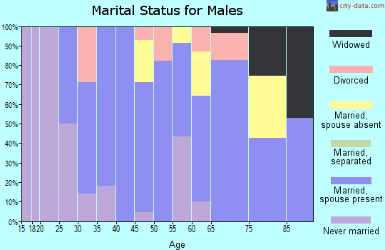 Zip code 51531 marital status for males