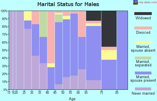 Zip code 51533 marital status for males