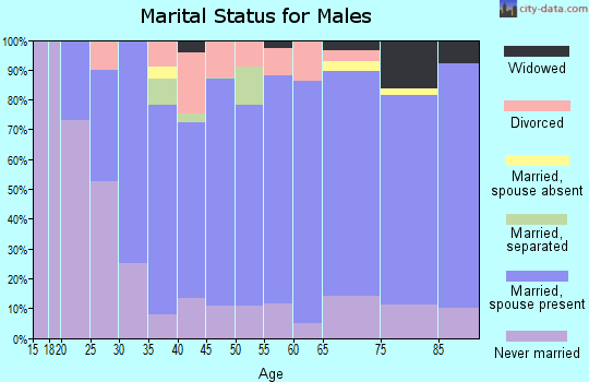 Zip code 51534 marital status for males