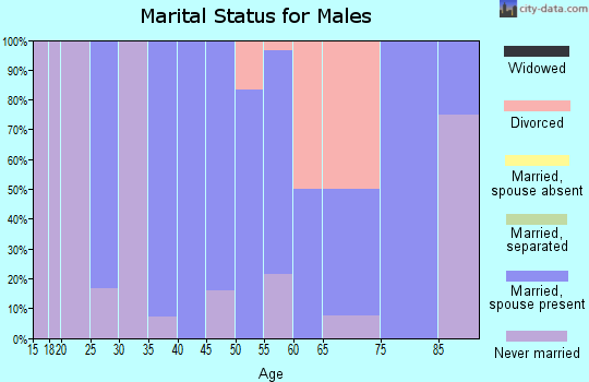Zip code 51540 marital status for males