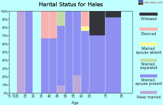 Zip code 51541 marital status for males