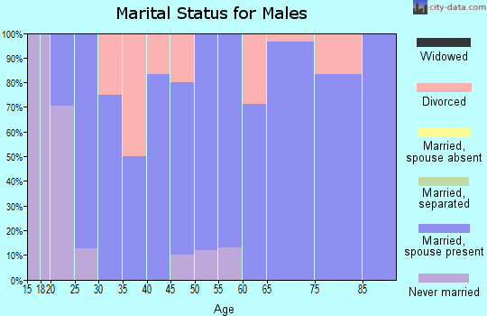 Zip code 51543 marital status for males