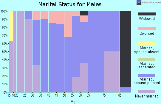 Zip code 51544 marital status for males