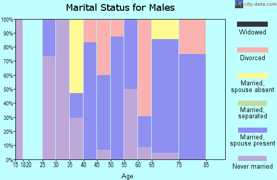Zip code 51545 marital status for males
