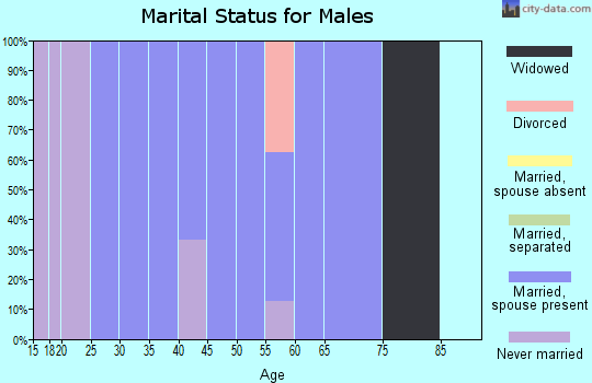 Zip code 51548 marital status for males