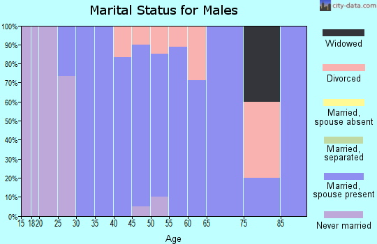 Zip code 51549 marital status for males