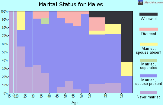 Zip code 51551 marital status for males