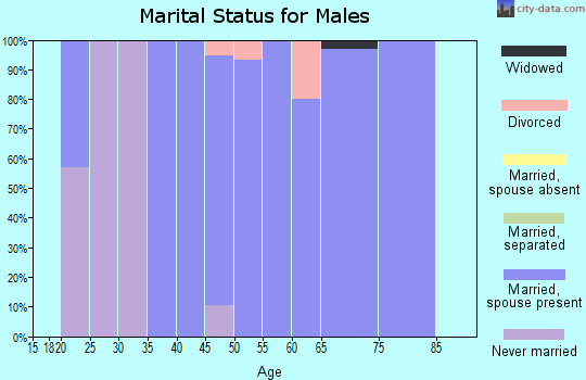 Zip code 51552 marital status for males