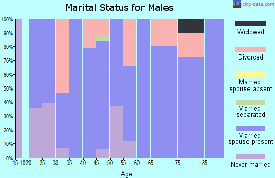 Zip code 51553 marital status for males