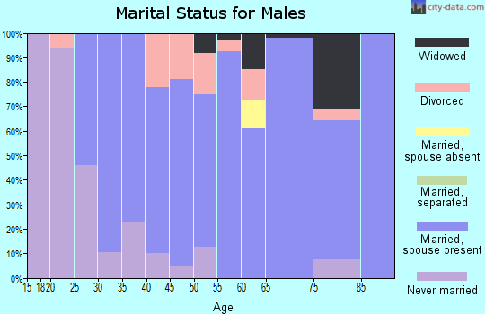 Zip code 51559 marital status for males