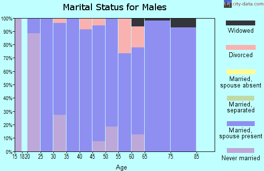 Zip code 51561 marital status for males