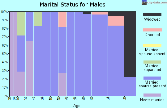 Zip code 51563 marital status for males