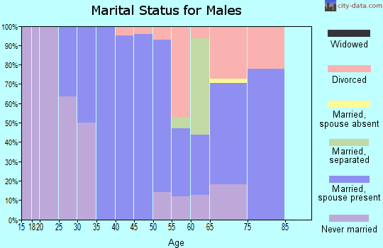 Zip code 51564 marital status for males