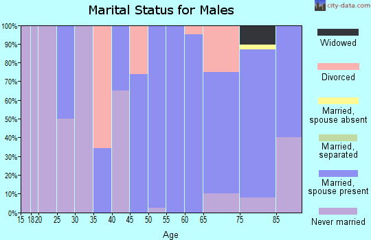 Zip code 51565 marital status for males