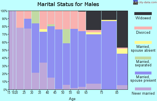 Zip code 51566 marital status for males