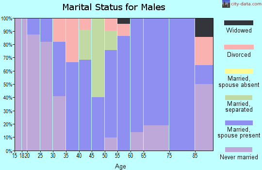 Zip code 51570 marital status for males
