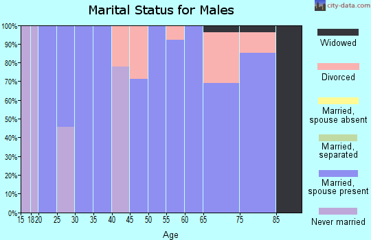 Zip code 51571 marital status for males