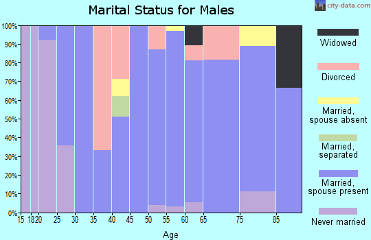 Zip code 51573 marital status for males