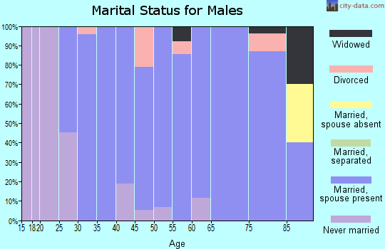 Zip code 51575 marital status for males