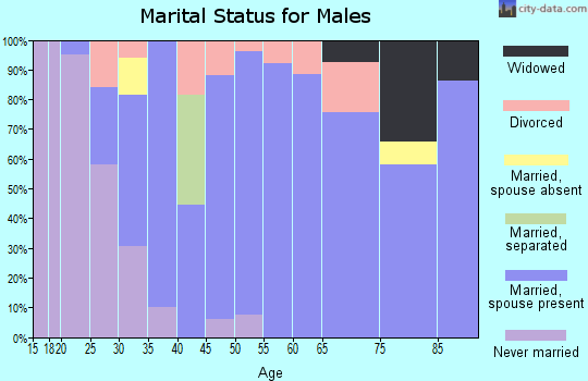Zip code 51577 marital status for males