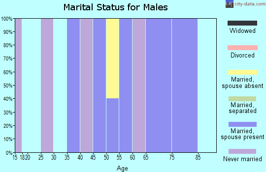 Zip code 51578 marital status for males