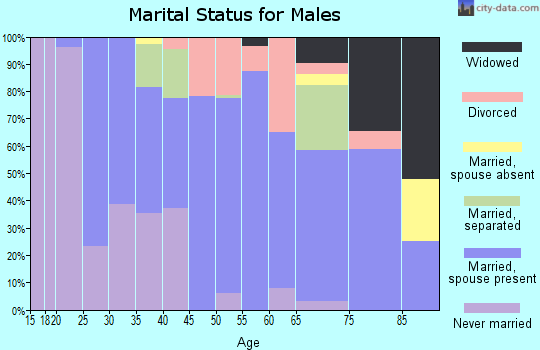 Zip code 51579 marital status for males