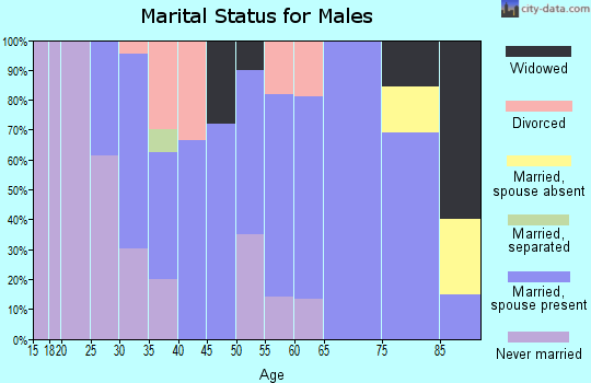 Zip code 51653 marital status for males