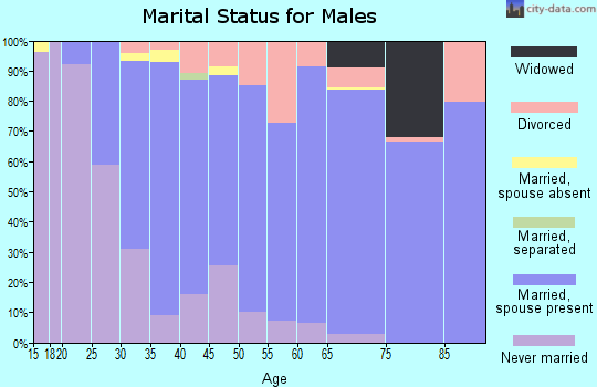 Zip code 52003 marital status for males