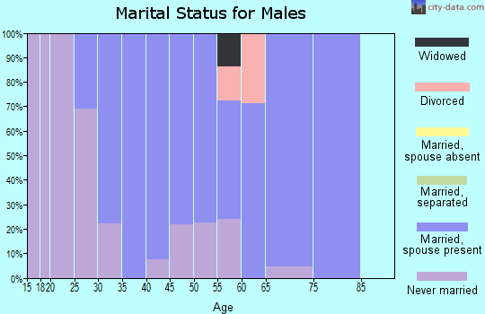 Zip code 52032 marital status for males