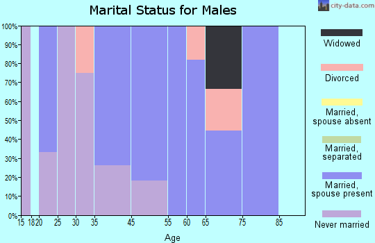 Zip code 52036 marital status for males
