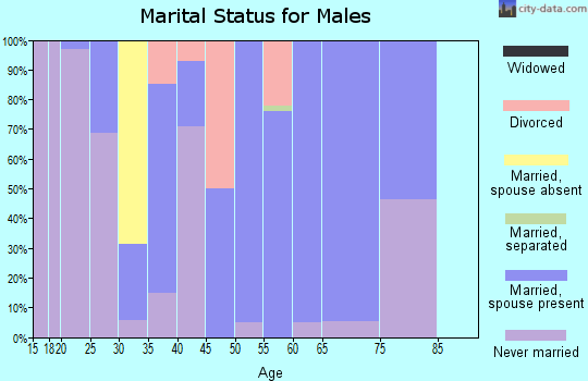 Zip code 52039 marital status for males