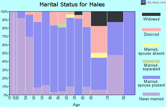 Zip code 52041 marital status for males