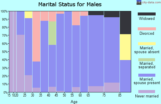Zip code 52042 marital status for males
